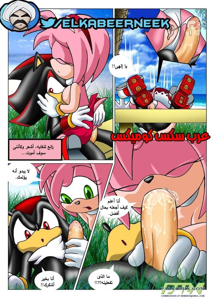 315 سونيك والبحث عن إيمى