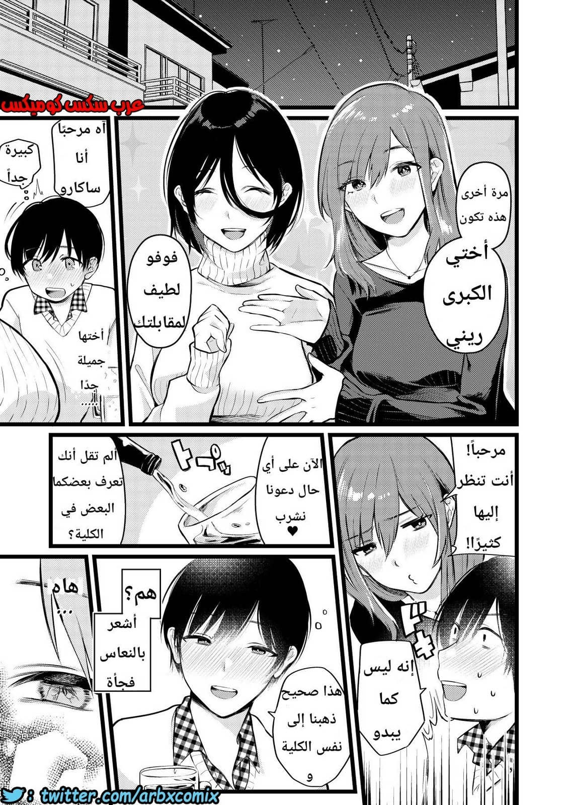 1133 قرية الفيمدوم