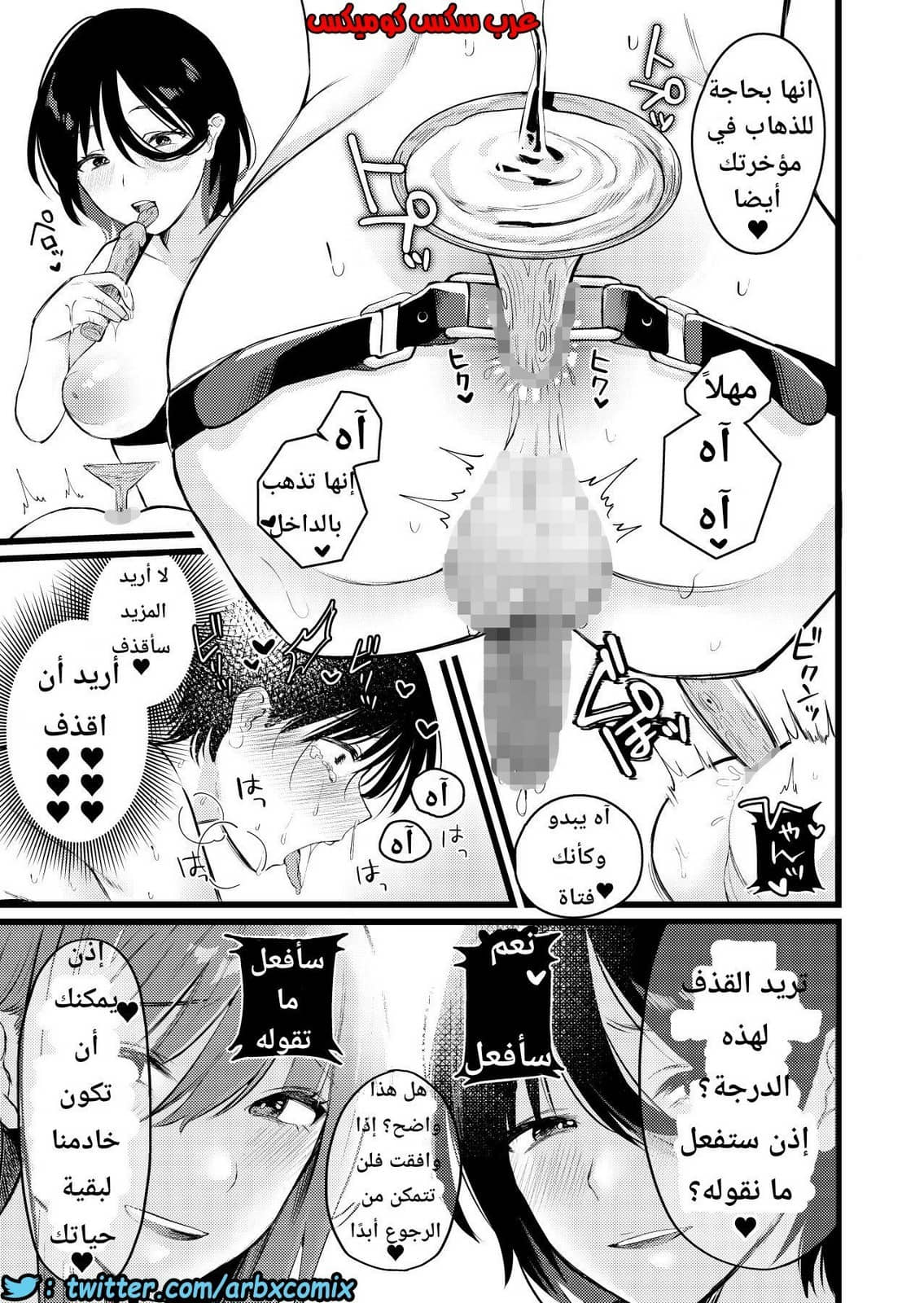 1133 قرية الفيمدوم