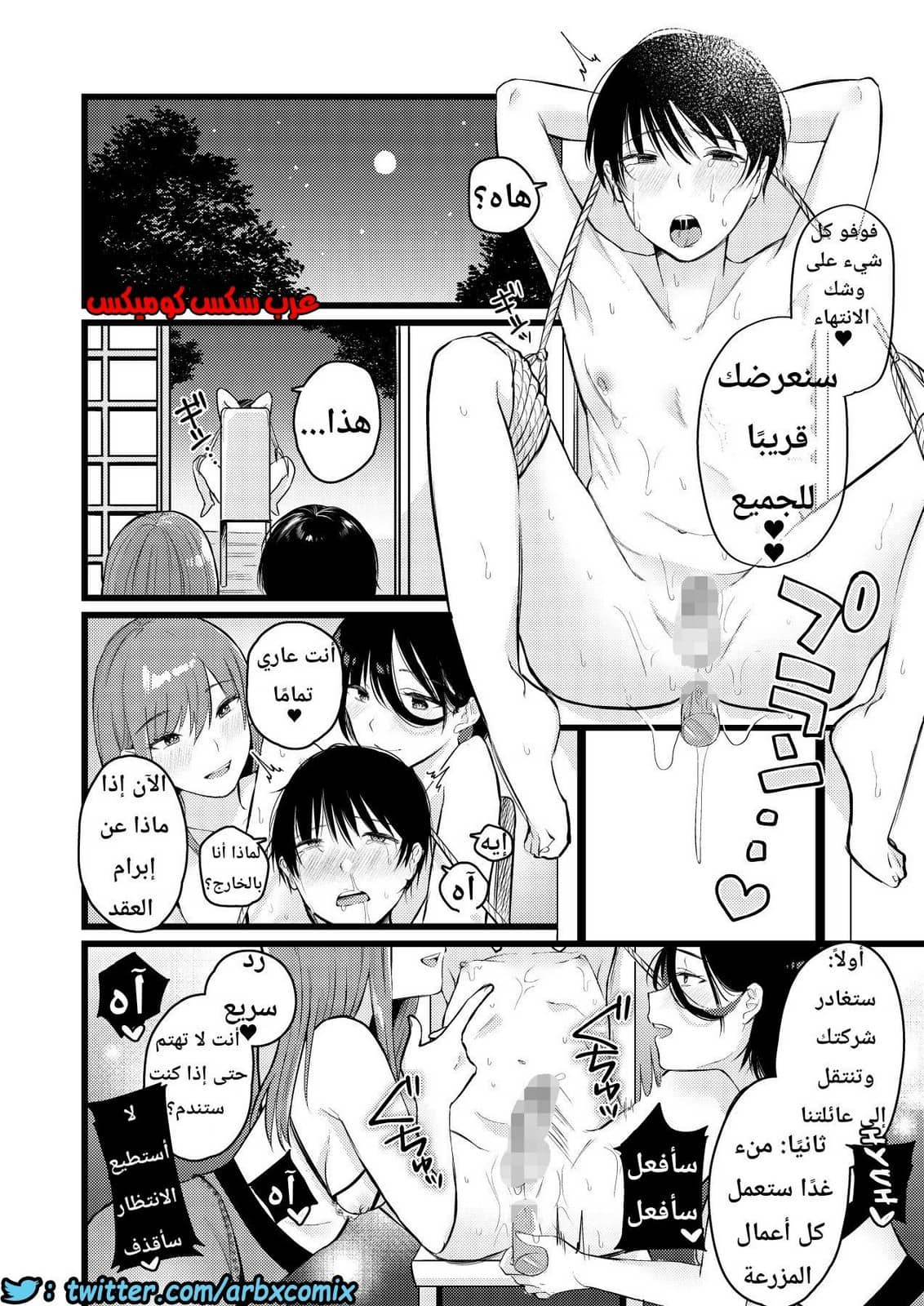 1133 قرية الفيمدوم