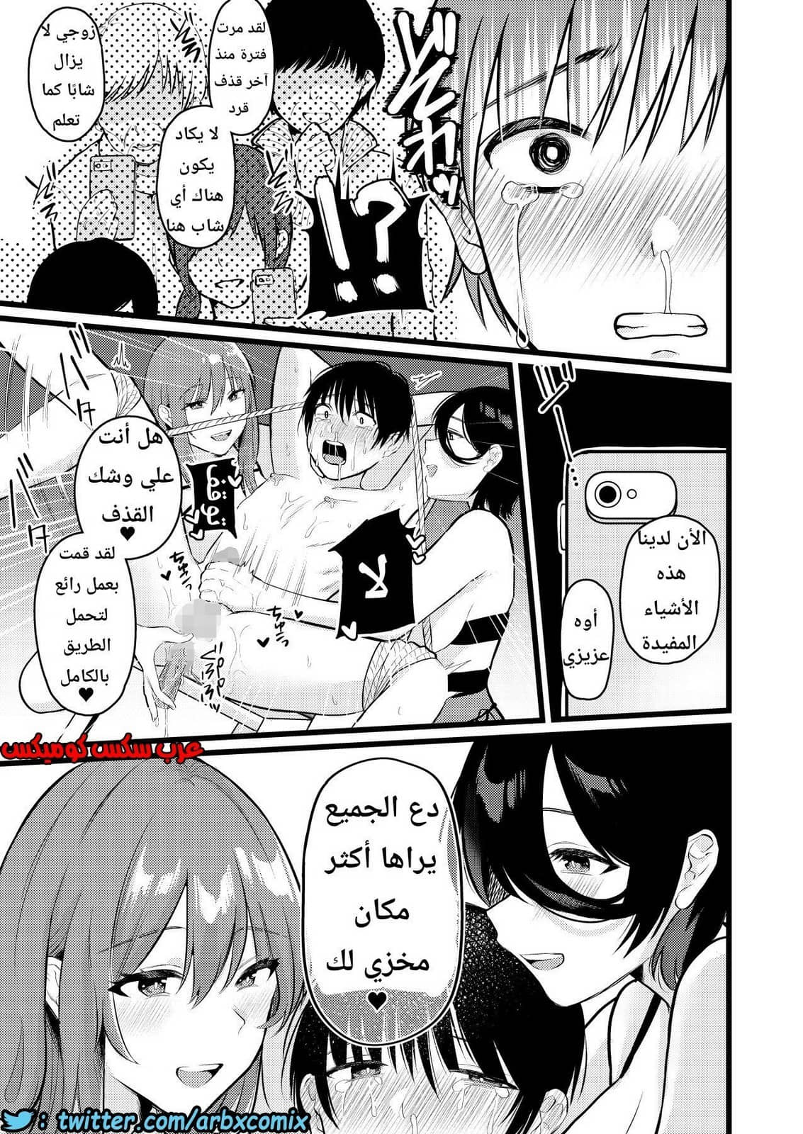 1133 قرية الفيمدوم