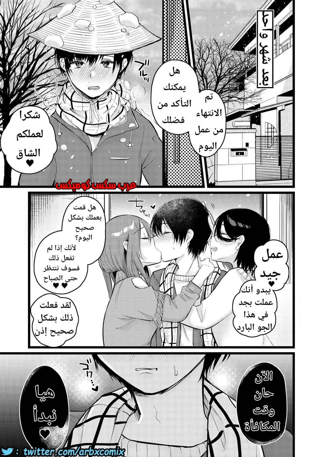 1133 قرية الفيمدوم