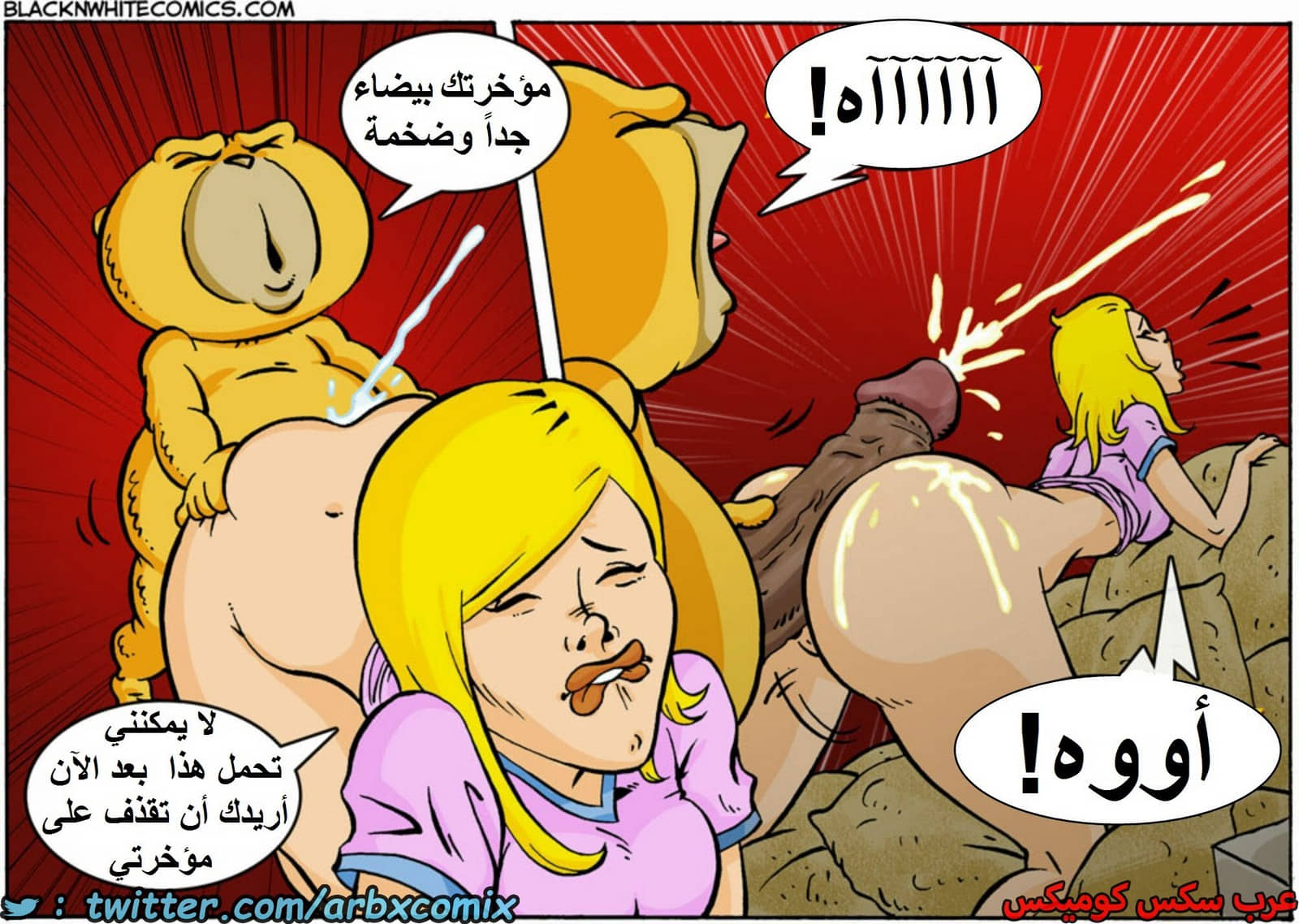 1608 تيد