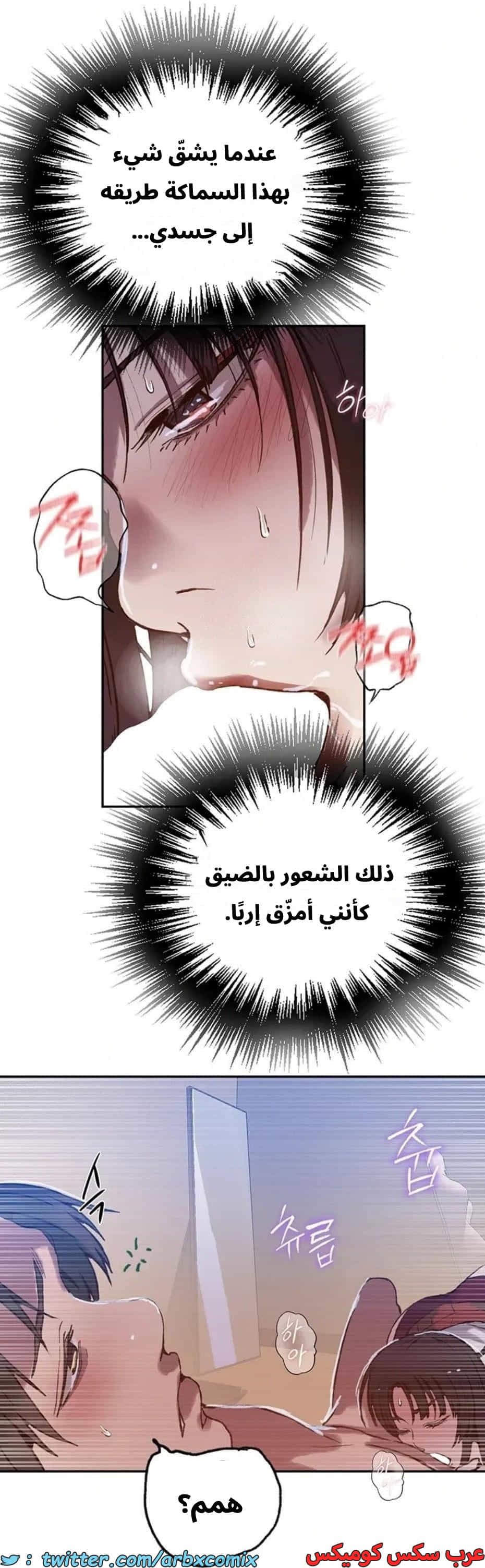 2815 صف سري الجزء 295